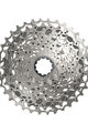 SRAM kazeta - CASSETTE XG-1250 D1 10-36 - stříbrná