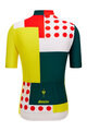 SANTINI Cyklistický dres s krátkým rukávem - TDF COMBO - vícebarevná