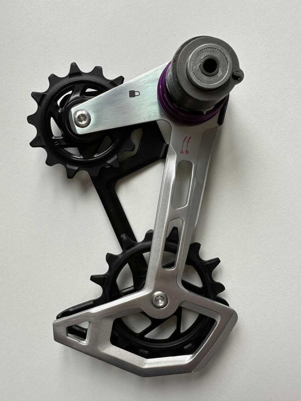 
                SRAM kladky pro přehazovačku - CAGE ASSEMBLY KIT XX T-TYPE EAGLE AXS - černá
            