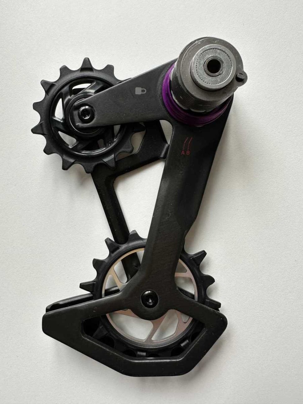 
                SRAM kladky pro přehazovačku - CAGE ASSEMBLY KIT X0 T-TYPE EAGLE AXS - černá
            